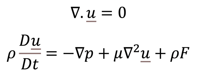 The Navier Stokes equations
